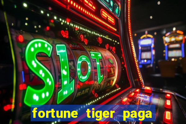 fortune tiger paga de madrugada